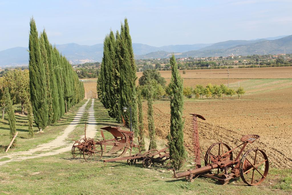 Fattoria Le Giare Agriturismo Βίλα Κορτόνα Εξωτερικό φωτογραφία