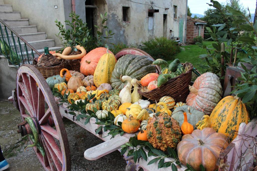 Fattoria Le Giare Agriturismo Κορτόνα Εξωτερικό φωτογραφία